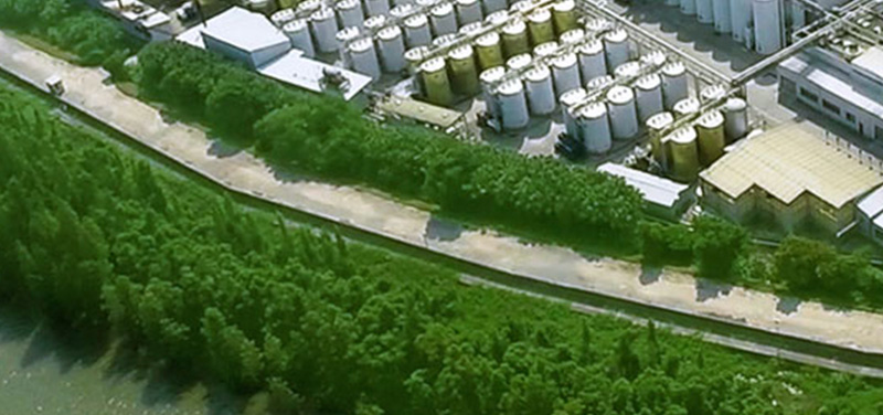 Lee Kum Kee sustainable factory site