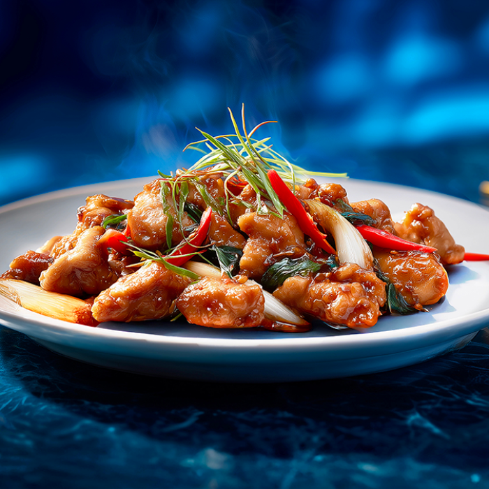 Poulet Sauté à la Sauce Soja et aux Oignons